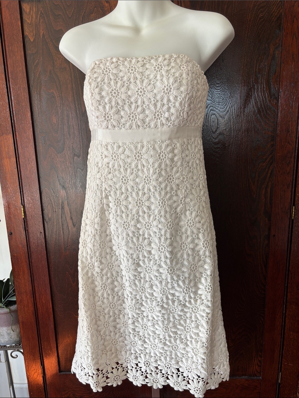 Lily Pulitzer Strapless Lace Dress Size 0